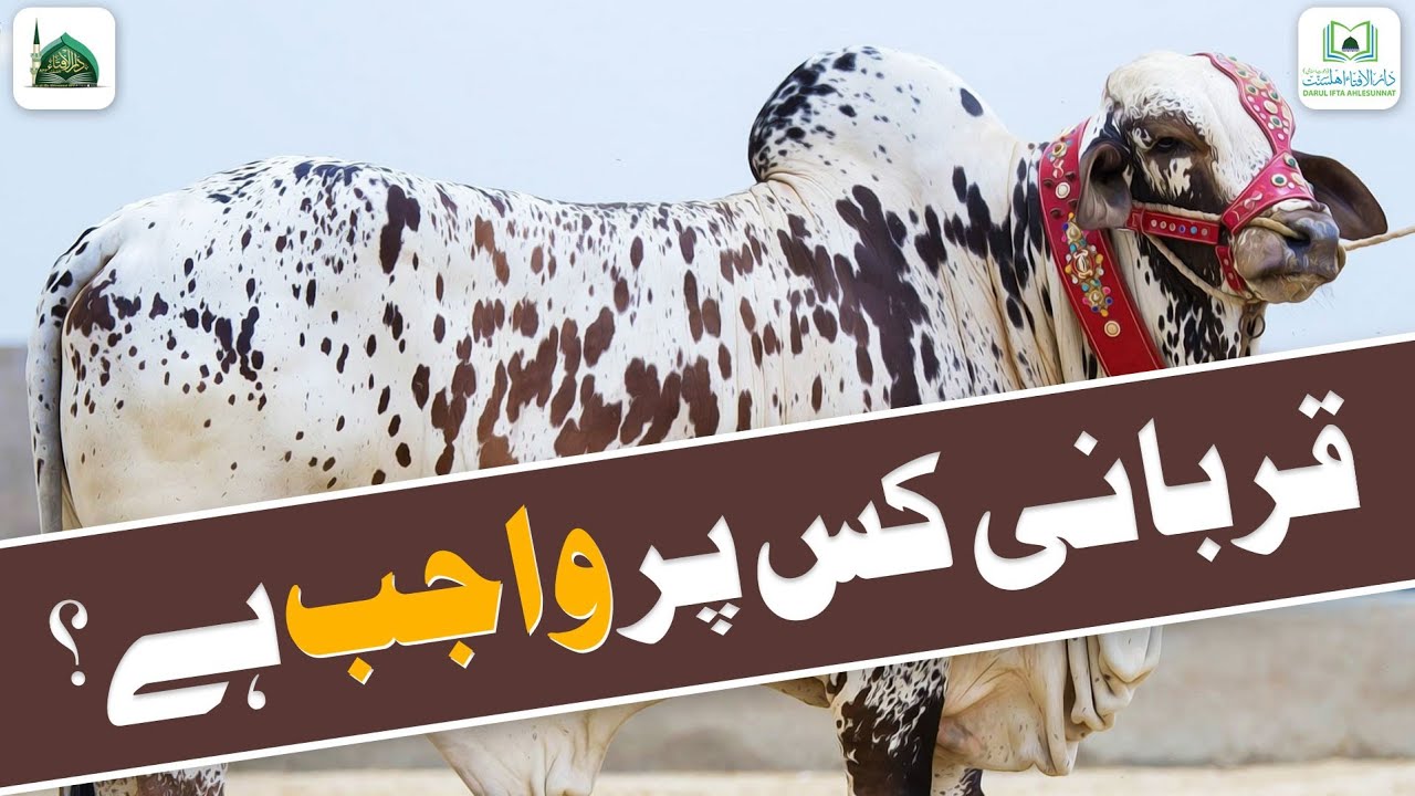 Qurbani Kis Par Wajib Hai?